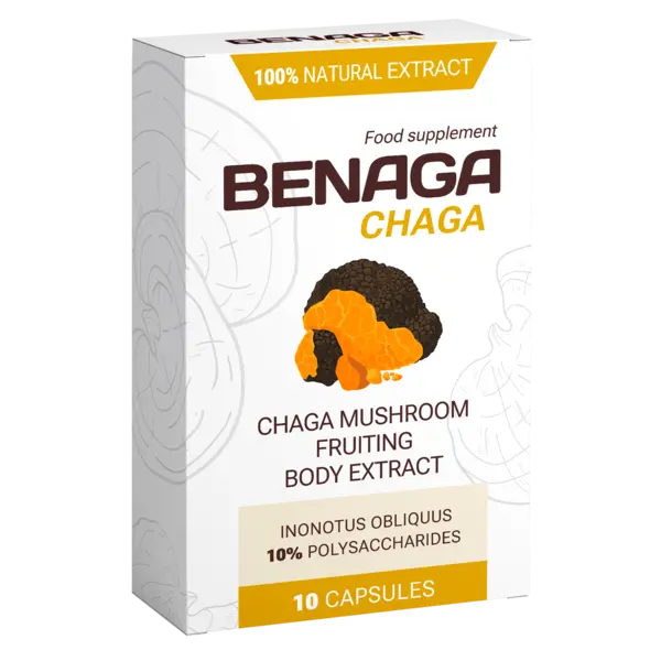 Benaga Chaga