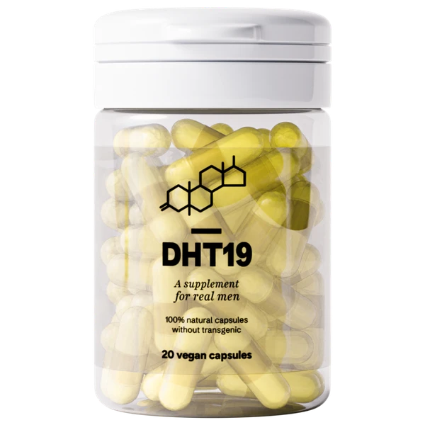 DHT19