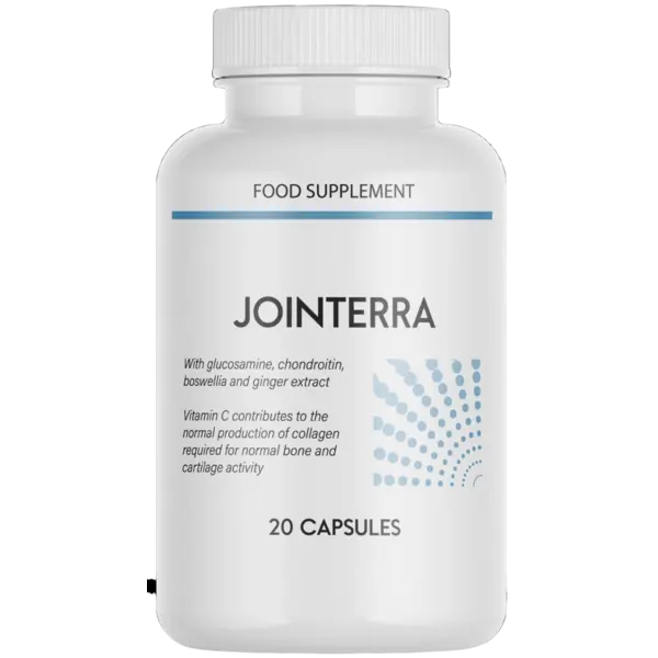 Jointerra